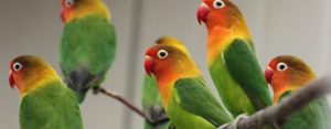 banner5